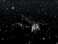 Гольциус и Пеликанья компания (2012)