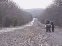 Дорога (2009)
