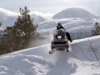 Север (2009)