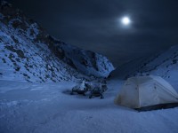 Влюбленные и медведь (2016)
