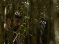 Ложь или действие (2017)